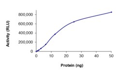 Sino Biological&nbsp;Recombinant Human Ros1 Protein (F2004C, GST Tag), Active